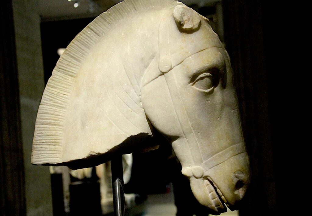 Marble Horse Head (C5th B.C.)