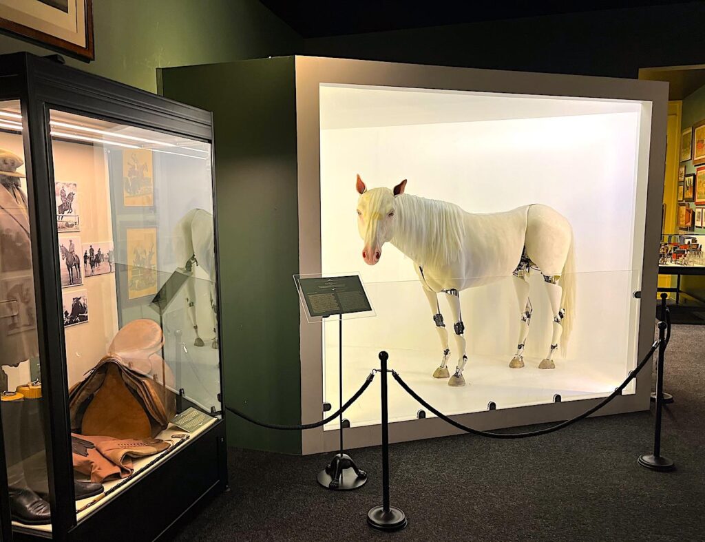 Rahmi M. Koç Museum - Horse Power Exhibition