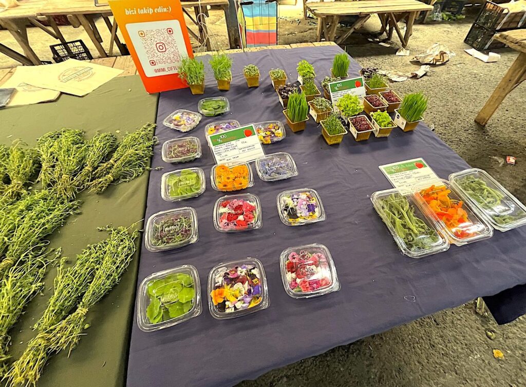 Feriköy Organic Micro Plants