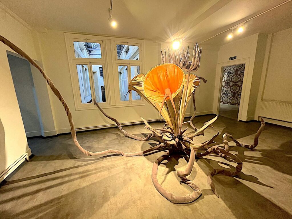 Istanbul Biennial - Elhamra Han - Şafak Şule Kemancı