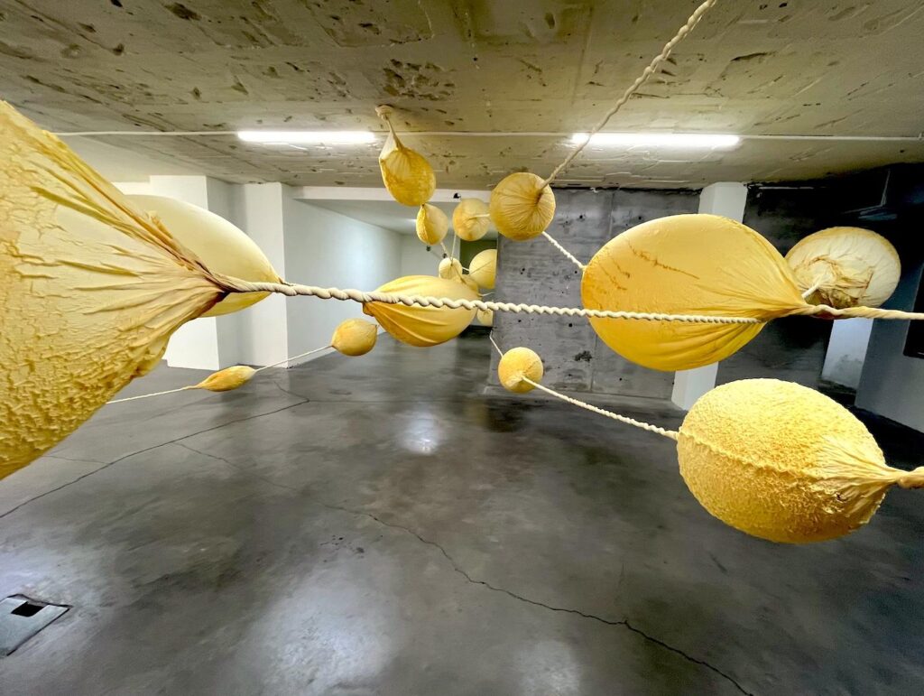 Istanbul Biennial - Meclis-i Mebusan 35 - Eva Fàbregas