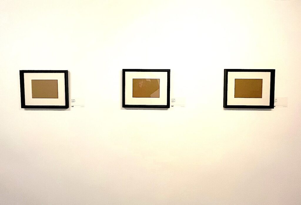 PİLOT Gallery  - main Hall - Exhibition M. K. Perker "LIVE" (January 2026)