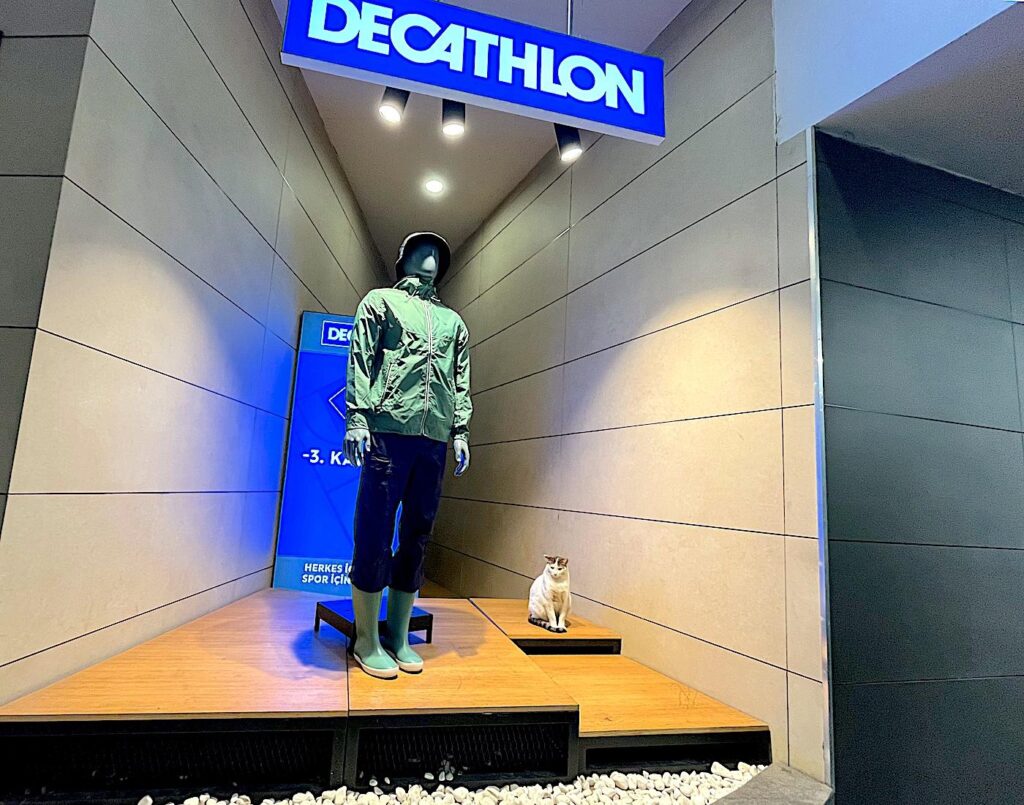 Istanbul's street cats and dogs - Decathlon Mannequin & Cattequin